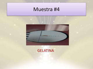 Muestra #4
GELATINA
 