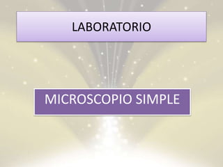 LABORATORIO
MICROSCOPIO SIMPLE
 