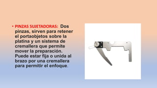 • PINZAS SUJETADORAS: Dos
pinzas, sirven para retener
el portaobjetos sobre la
platina y un sistema de
cremallera que permite
mover la preparación.
Puede estar fija o unida al
brazo por una cremallera
para permitir el enfoque.
 