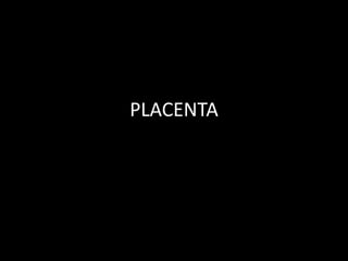 PLACENTA
 
