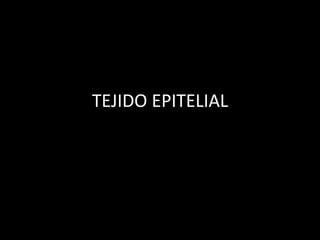 TEJIDO EPITELIAL
 