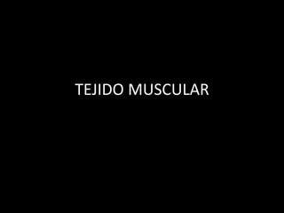 TEJIDO MUSCULAR
 