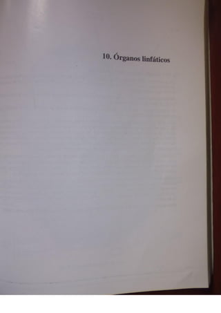 Histologia normal de difiore