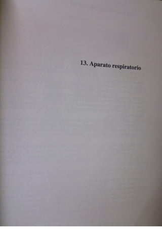 Histologia normal de difiore