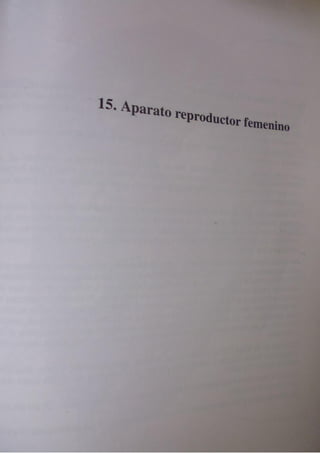 Histologia normal de difiore