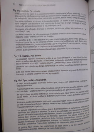 Histologia normal de difiore