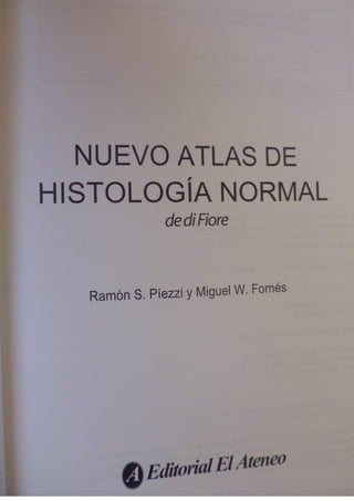 Histologia normal de difiore