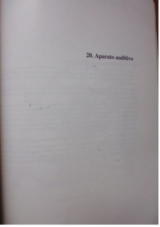 Histologia normal de difiore