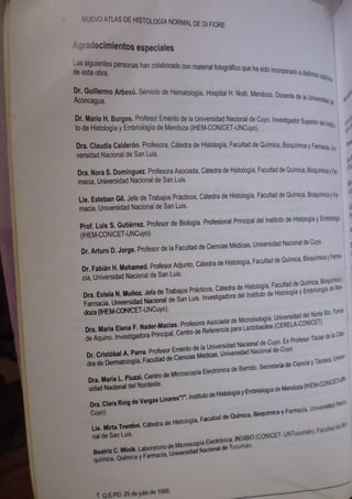 Histologia normal de difiore