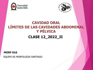 CAVIDAD ORAL
LÍMITES DE LAS CAVIDADES ABDOMINAL
Y PÉLVICA
CLASE 12_2022_II
MORF 016
EQUIPO DE MORFOLOGIA SANTIAGO
 