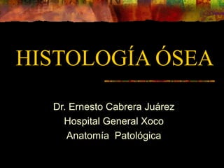 HISTOLOGÍA ÓSEAHISTOLOGÍA ÓSEA
Dr. Ernesto Cabrera Juárez
Hospital General Xoco
Anatomía Patológica
 