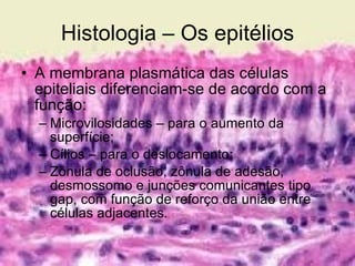 Histologia – Os epitélios A membrana plasmática das células epiteliais diferenciam-se de acordo com a função: Microvilosidades – para o aumento da superfície; Cílios – para o deslocamento; Zônula de oclusão, zônula de adesão, desmossomo e junções comunicantes tipo gap, com função de reforço da união entre células adjacentes. 
