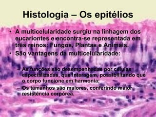 Histologia – Os epitélios A multicelularidade surgiu na linhagem dos eucariontes e encontra-se representada em três reinos: Fungos, Plantas e Animais. São vantagens da multicelularidade: As funções são desempenhadas por células especializadas, que interagem, possibilitando que o corpo funcione em harmonia; Os tamanhos são maiores, conferindo maior resistência corpórea. 