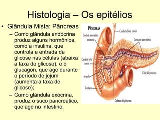 Histologia – Os epitélios Glândula Mista: Pâncreas Como glândula endócrina produz alguns hormônios, como a insulina, que controla a entrada da glicose nas células (abaixa a taxa de glicose), e o glucagon, que age durante o período de jejum (aumenta a taxa de glicose); Como glândula exócrina, produz o suco pancreático, que age no intestino. 