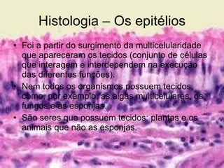 Histologia – Os epitélios Foi a partir do surgimento da multicelularidade que apareceram os tecidos (conjunto de células que interagem e interdependem na execução das diferentes funções). Nem todos os organismos possuem tecidos, como, por exemplo, as algas multicelulares, os fungos e as esponjas. São seres que possuem tecidos: plantas e os animais que não as esponjas. 