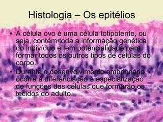 Histologia – Os epitélios A célula ovo é uma célula totipotente, ou seja, contém toda a informação genética do indivíduo e tem potencialidade para formar todos os outros tipos de células do corpo. Durante o desenvolvimento embrionário ocorre a diferenciação e especialização de funções das células que formarão os tecidos do adulto. 
