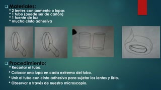  Materiales:
* 2 lentes con aumento o lupas
* 1 tubo (puede ser de cartón)
* 1 fuente de luz
* mucha cinta adhesiva
 Procedimiento:
* Recortar el tubo.
* Colocar una lupa en cada extremo del tubo.
* Unir el tubo con cinta adhesiva para sujetar los lentes y listo.
* Observar a través de nuestro microscopio.
 