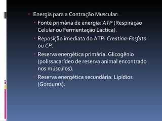 Energia para a Contração Muscular: Fonte primária de energia:  ATP  (Respiração Celular ou Fermentação Láctica). Reposição imediata do ATP:  Creatina-Fosfato  ou  CP . Reserva energética primária: Glicogênio (polissacarídeo de reserva animal encontrado nos músculos). Reserva energética secundária: Lipídios (Gorduras). 