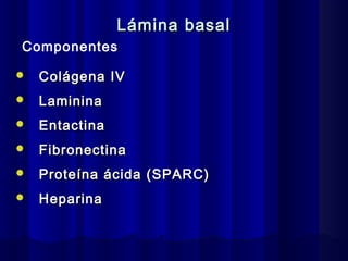 Histología pulmonar | PPT