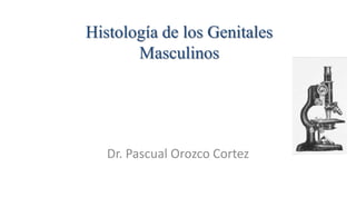 Histología de los Genitales
Masculinos
Dr. Pascual Orozco Cortez
 