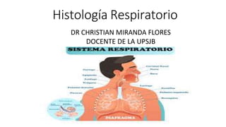 Histología Respiratorio
DR CHRISTIAN MIRANDA FLORES
DOCENTE DE LA UPSJB
 
