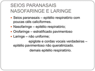 SEIOS PARANASAIS NASOFARINGE E LARINGESeios paranasais – epitélio respiratório com poucas céls caliciformes.Nasofaringe – epitélio respiratório;Orofaringe – estratificado pavimentosoLaringe – não uniforme;                   epiglote e cordas vocais verdadeiras – epitélio pavimentoso não queratinizado.                    demais epitélio respiratório.   