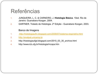 ReferênciasJUNQUEIRA, L. C. & CARNEIRO, J. Histologia Básica. 10ed. Rio de Janeiro: Guanabara Koogan, 2004.GARTNER. Tratado de Histologia. 2º Edição - Guanabara Koogan, 2003. Banco de Imagens http://histologiaufrn.blogspot.com/2008/07/sistema-respiratrio.html  http://anatpat.unicamp.brhttp://histologiaufgd.blogspot.com/2010_03_30_archive.html http://www.icb.ufg.br/histologia/incapa.htm