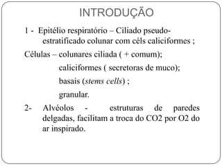 INTRODUÇÃO1 -  Epitélio respiratório – Ciliado pseudo-estratificado colunar com céls caliciformes ;Células – colunares ciliada ( + comum);                caliciformes ( secretoras de muco);                basais (stemscells) ;                granular.2- Alvéolos -  estruturas de paredes delgadas, facilitam a troca do CO2 porO2 do ar inspirado.