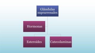 Glándulas
suprarrenales
Esteroides Catecolaminas
Hormonas
 