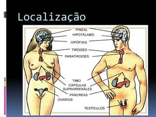 Localização
 