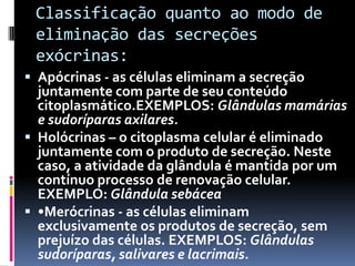 Classificação quanto ao modo de
eliminação das secreções
exócrinas:
 Apócrinas - as células eliminam a secreção
juntamente com parte de seu conteúdo
citoplasmático.EXEMPLOS: Glândulas mamárias
e sudoríparas axilares.
 Holócrinas – o citoplasma celular é eliminado
juntamente com o produto de secreção. Neste
caso, a atividade da glândula é mantida por um
contínuo processo de renovação celular.
EXEMPLO: Glândula sebácea
 •Merócrinas - as células eliminam
exclusivamente os produtos de secreção, sem
prejuízo das células. EXEMPLOS: Glândulas
sudoríparas, salivares e lacrimais.
 
