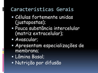 Características Gerais
 Células fortemente unidas
(justapostas);
 Pouca substância intercelular
(matriz extracelular);
 Avascular;
 Apresentam especializações de
membrana;
 Lâmina Basal;
 Nutrição por difusão
 