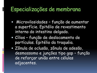 Especializações de membrana
 Microvilosidades – função de aumentar
a superfície. Epitélio de revestimento
interno do intestino delgado.
 Cílios – função de deslocamento de
partículas. Epitélio da traquéia.
 Zônula de oclusão, zônula de adesão,
desmossomo e junções tipo gap – função
de reforçar união entre células
adjacentes.
 