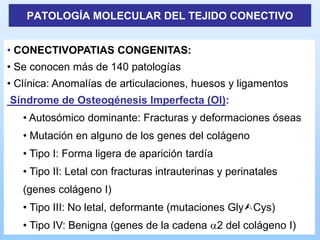 PATOLOGÍA MOLECULAR DEL TEJIDO CONECTIVO


• CONECTIVOPATIAS CONGENITAS:
• Se conocen más de 140 patologías
• Clínica: Anomalías de articulaciones, huesos y ligamentos
Síndrome de Osteogénesis Imperfecta (OI):
   • Autosómico dominante: Fracturas y deformaciones óseas
   • Mutación en alguno de los genes del colágeno
   • Tipo I: Forma ligera de aparición tardía
   • Tipo II: Letal con fracturas intrauterinas y perinatales
   (genes colágeno I)
   • Tipo III: No letal, deformante (mutaciones GlyCys)
   • Tipo IV: Benigna (genes de la cadena a2 del colágeno I)
 