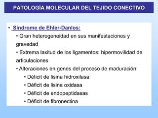PATOLOGÍA MOLECULAR DEL TEJIDO CONECTIVO


• Síndrome de Ehler-Danlos:
  • Gran heterogeneidad en sus manifestaciones y
  gravedad
  • Extrema laxitud de los ligamentos: hipermovilidad de
  articulaciones
  • Alteraciones en genes del proceso de maduración:
     • Déficit de lisina hidroxilasa
     • Déficit de lisina oxidasa
     • Déficit de endopeptidasas
     • Déficit de fibronectina
 