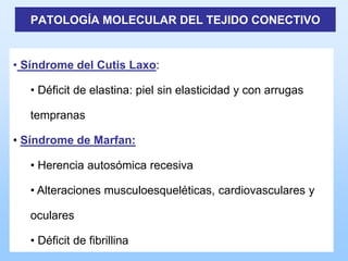 PATOLOGÍA MOLECULAR DEL TEJIDO CONECTIVO


• Síndrome del Cutis Laxo:

   • Déficit de elastina: piel sin elasticidad y con arrugas

   tempranas

• Síndrome de Marfan:

   • Herencia autosómica recesiva

   • Alteraciones musculoesqueléticas, cardiovasculares y

   oculares

   • Déficit de fibrillina
 