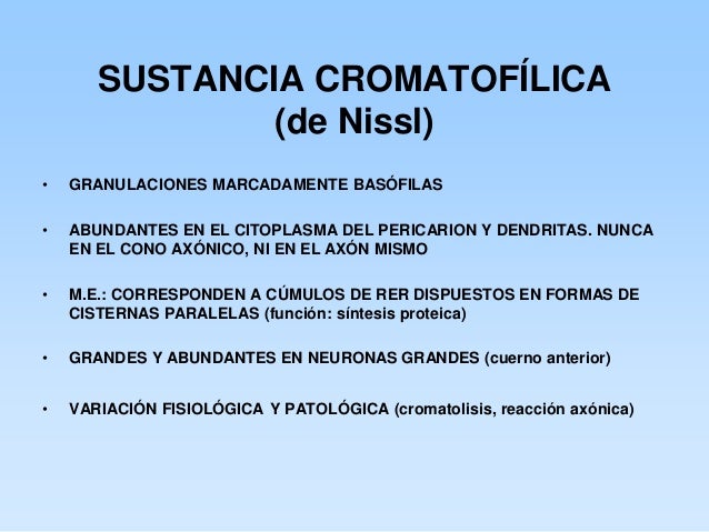 Histologia tejido nervioso vd
