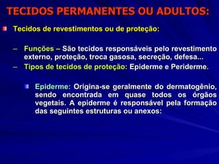 TECIDOS PERMANENTES OU ADULTOS:  Tecidos de revestimentos ou de proteção: Funções –  São tecidos responsáveis pelo revestimento externo, proteção, troca gasosa, secreção, defesa... Tipos de tecidos de proteção:  Epiderme e Periderme. Epiderme:  Origina-se geralmente do dermatogênio, sendo encontrada em quase todos os órgãos vegetais. A epiderme é responsável pela formação das seguintes estruturas ou anexos: 