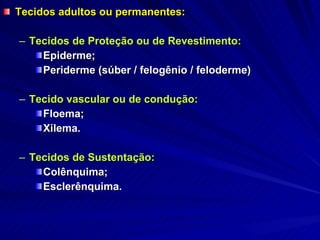 Tecidos adultos ou permanentes: Tecidos de Proteção ou de Revestimento: Epiderme; Periderme (súber / felogênio / feloderme) Tecido vascular ou de condução: Floema; Xilema. Tecidos de Sustentação: Colênquima; Esclerênquima. 
