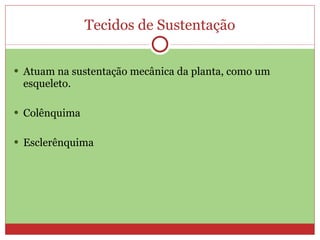 Tecidos de Sustentação Atuam na sustentação mecânica da planta, como um esqueleto. Colênquima  Esclerênquima 