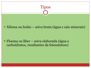 Tipos Xilema ou lenho – seiva bruta (água e sais minerais) Floema ou líber – seiva elaborada (água e carboidratos, resultantes da fotossíntese) 