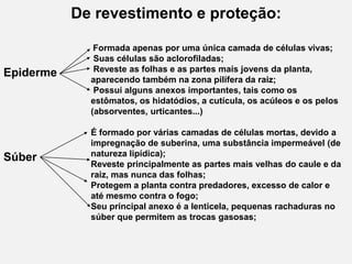 De revestimento e proteção:

Epiderme

Súber

Formada apenas por uma única camada de células vivas;
Suas células são aclorofiladas;
Reveste as folhas e as partes mais jovens da planta,
aparecendo também na zona pilífera da raiz;
Possui alguns anexos importantes, tais como os
estômatos, os hidatódios, a cutícula, os acúleos e os pelos
(absorventes, urticantes...)
É formado por várias camadas de células mortas, devido a
impregnação de suberina, uma substância impermeável (de
natureza lipídica);
Reveste principalmente as partes mais velhas do caule e da
raiz, mas nunca das folhas;
Protegem a planta contra predadores, excesso de calor e
até mesmo contra o fogo;
Seu principal anexo é a lenticela, pequenas rachaduras no
súber que permitem as trocas gasosas;

 