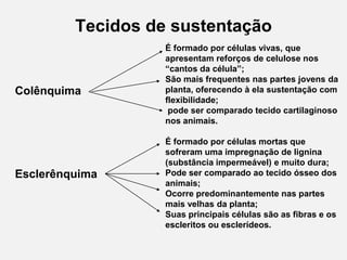 Tecidos de sustentação

Colênquima

Esclerênquima

É formado por células vivas, que
apresentam reforços de celulose nos
“cantos da célula”;
São mais frequentes nas partes jovens da
planta, oferecendo à ela sustentação com
flexibilidade;
pode ser comparado tecido cartilaginoso
nos animais.
É formado por células mortas que
sofreram uma impregnação de lignina
(substância impermeável) e muito dura;
Pode ser comparado ao tecido ósseo dos
animais;
Ocorre predominantemente nas partes
mais velhas da planta;
Suas principais células são as fibras e os
escleritos ou esclerídeos.

 