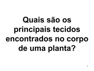 Quais são os
principais tecidos
encontrados no corpo
de uma planta?
1

 