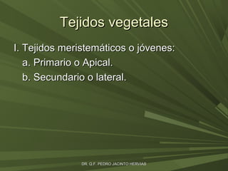 Tejidos vegetales
I. Tejidos meristemáticos o jóvenes:
a. Primario o Apical.
b. Secundario o lateral.

DR. Q.F. PEDRO JACINTO HERVIAS

 