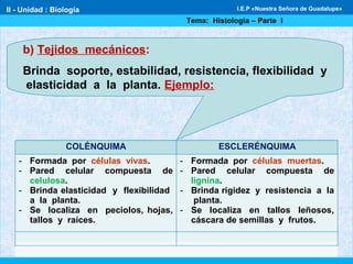b) Tejidos mecánicos:
Brinda soporte, estabilidad, resistencia, flexibilidad y
elasticidad a la planta. Ejemplo:
COLÉNQUIMA ESCLERÉNQUIMA
- Formada por células vivas.
- Pared celular compuesta de
celulosa.
- Brinda elasticidad y flexibilidad
a la planta.
- Se localiza en peciolos, hojas,
tallos y raíces.
- Formada por células muertas.
- Pared celular compuesta de
lignina.
- Brinda rigidez y resistencia a la
planta.
- Se localiza en tallos leñosos,
cáscara de semillas y frutos.
II - Unidad : Biología
Tema: Histología – Parte I
I.E.P «Nuestra Señora de Guadalupe»
 