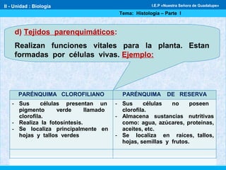 d) Tejidos parenquimáticos:
Realizan funciones vitales para la planta. Estan
formadas por células vivas. Ejemplo:
PARÉNQUIMA CLOROFILIANO PARÉNQUIMA DE RESERVA
- Sus células presentan un
pigmento verde llamado
clorofila.
- Realiza la fotosíntesis.
- Se localiza principalmente en
hojas y tallos verdes
- Sus células no poseen
clorofila.
- Almacena sustancias nutritivas
como: agua, azúcares, proteínas,
aceites, etc.
- Se localiza en raíces, tallos,
hojas, semillas y frutos.
II - Unidad : Biología
Tema: Histología – Parte I
I.E.P «Nuestra Señora de Guadalupe»
 