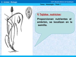 f) Tejidos nutricios:
Proporcionan nutrientes al
embrión, se localizan en la
semilla.
II - Unidad : Biología
Tema: Histología – Parte I
I.E.P «Nuestra Señora de Guadalupe»
 