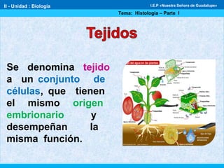 Se denomina tejido
a un conjunto de
células, que tienen
el mismo origen
embrionario y
desempeñan la
misma función.
II - Unidad : Biología
Tema: Histología – Parte I
I.E.P «Nuestra Señora de Guadalupe»
 