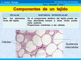 CÉLULAS SUSTANCIA INTERCELULAR
Son los elementos
vivos del tejido.
Es el componente abiótico del tejido, puede ser
muy abundante, escaso y otras veces puede
estar ausente.
Proporciona nutrientes a las células.
Células
Sustancia
intercelular
II - Unidad : Biología
Tema: Histología – Parte I
I.E.P «Nuestra Señora de Guadalupe»
 